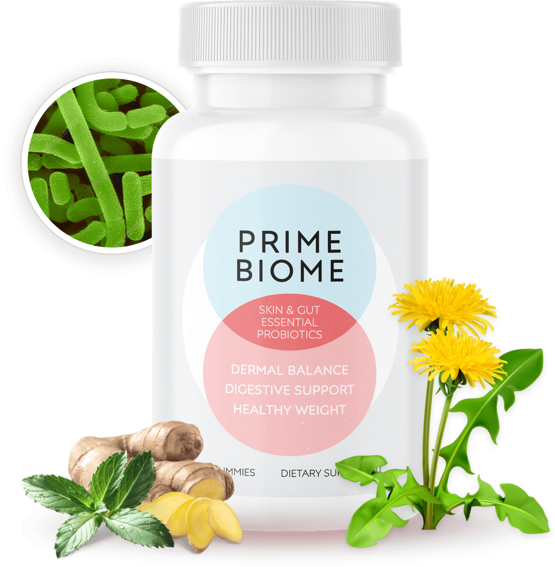 PrimeBiome Product Showcase