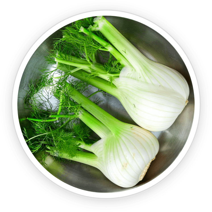 fennel